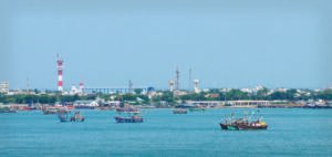 Read more about the article Gujarat’s Fisheries Sector Booms as Exports Surge and Government Support Expands