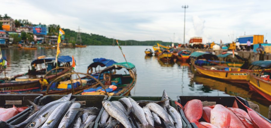 India Introduces “Access Pass” for Sustainable Deep-Sea Fishing in Gujarat